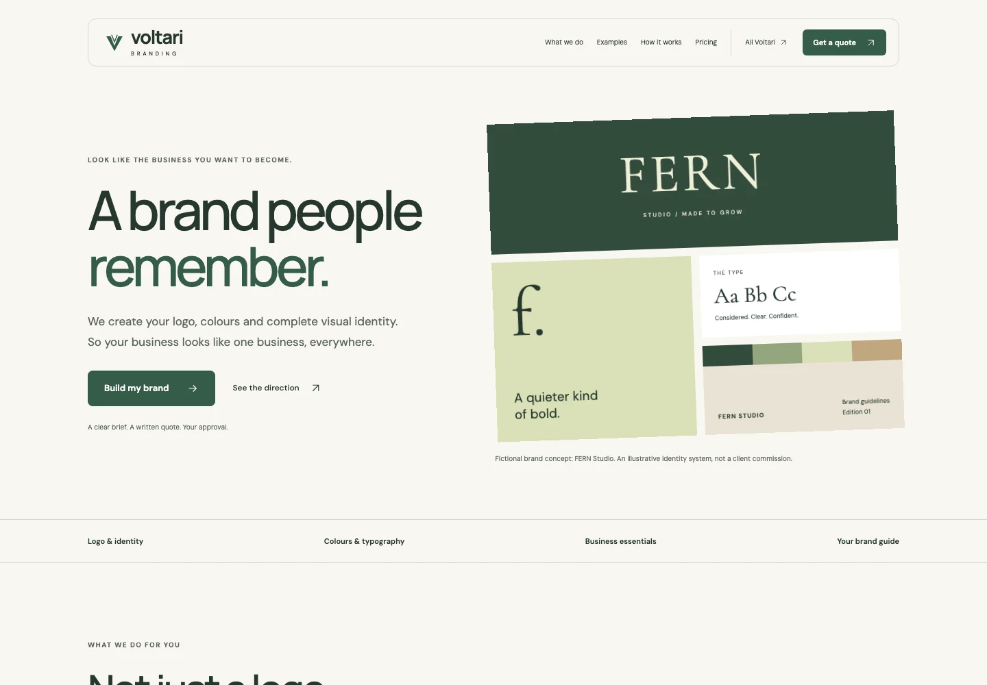 Voltari Branding actual website homepage snapshot
